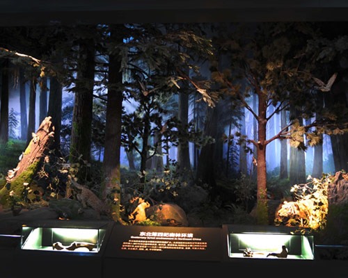 博物館設(shè)計(jì)